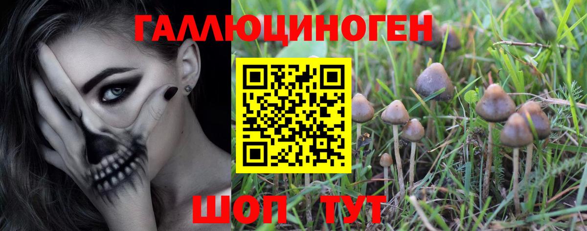 Арзамас  Галлюциногенные грибы мицелий  Вход с VPN  Псилоцибиновые грибы Cubensis 
