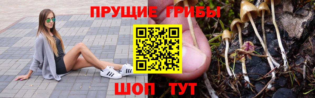 Галлюциногенные грибы мицелий Арзамас